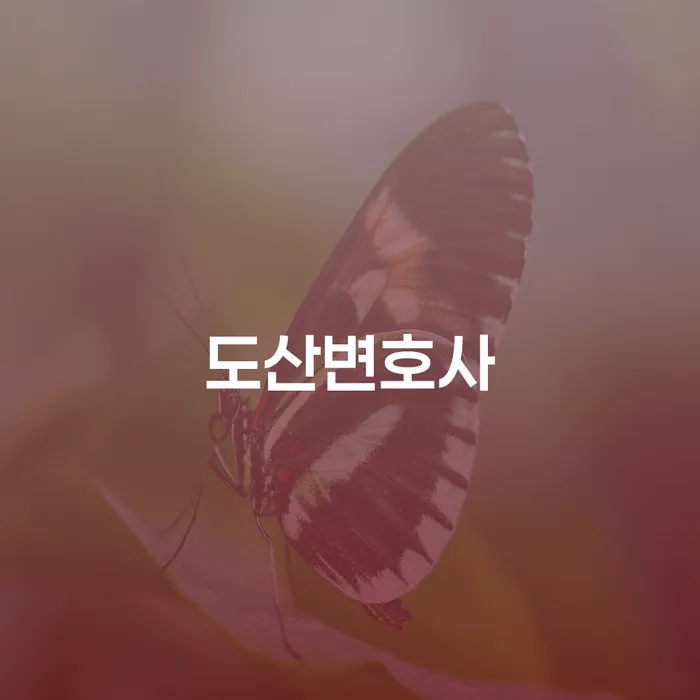 개인회생과정 카드빚 연체 해결하기