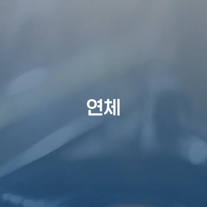 개인회생 자격 대출 받은 돈채무조정 관련정보