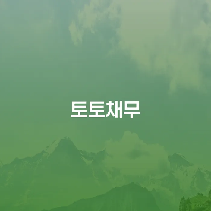 회생비용 저렴하고 분납이 가능한 개인회생 문제해결방법 잘 하는 법무법인
