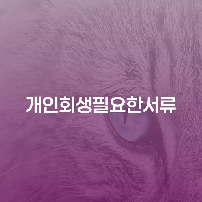 기대출추가대출 연체 시 개인회생 처리방법 진행할 때 꼭 알아야 할