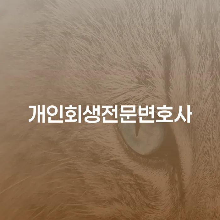 광양시 도박회생 채무 효과적인 해결방법 체크리스트
