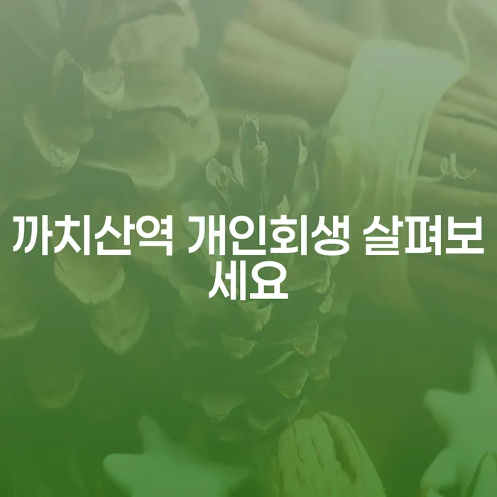 까치산역 개인회생 살펴보세요
