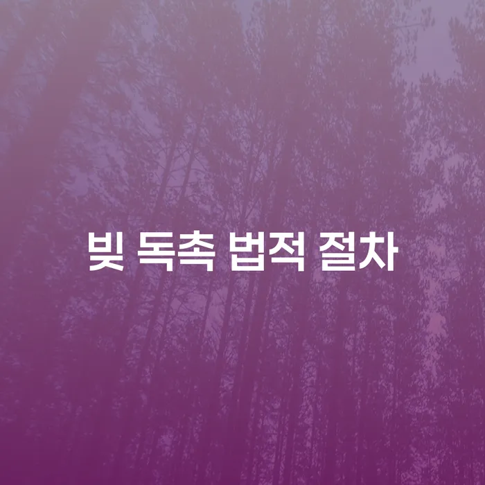빚 독촉을 받을 때, 법적 절차는 어떻게 해야 할까요?