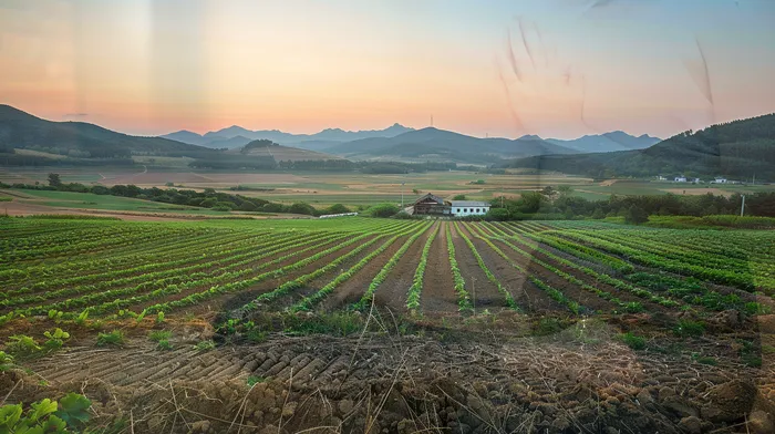 대출 연체 이해하기