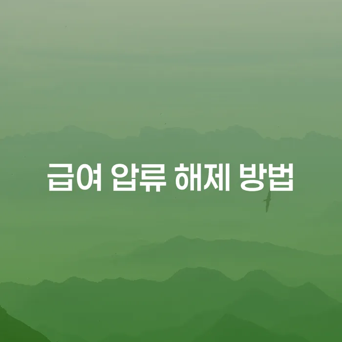 급여 압류 해제 방법을 알아보세요: 채무 해결의 첫걸음