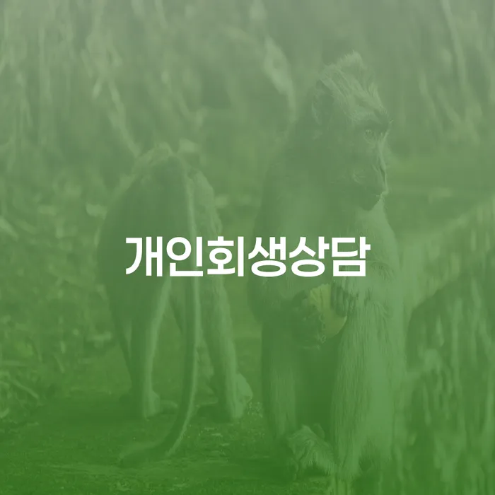 갈현동 개인회생상담으로 재정적 자유를 찾다