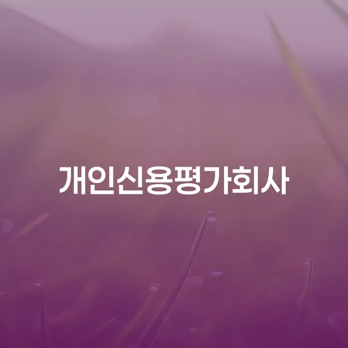 개인신용평가회사, 어떻게 우리의 신용을 평가할까요?